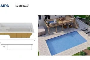 Tampa pool Design